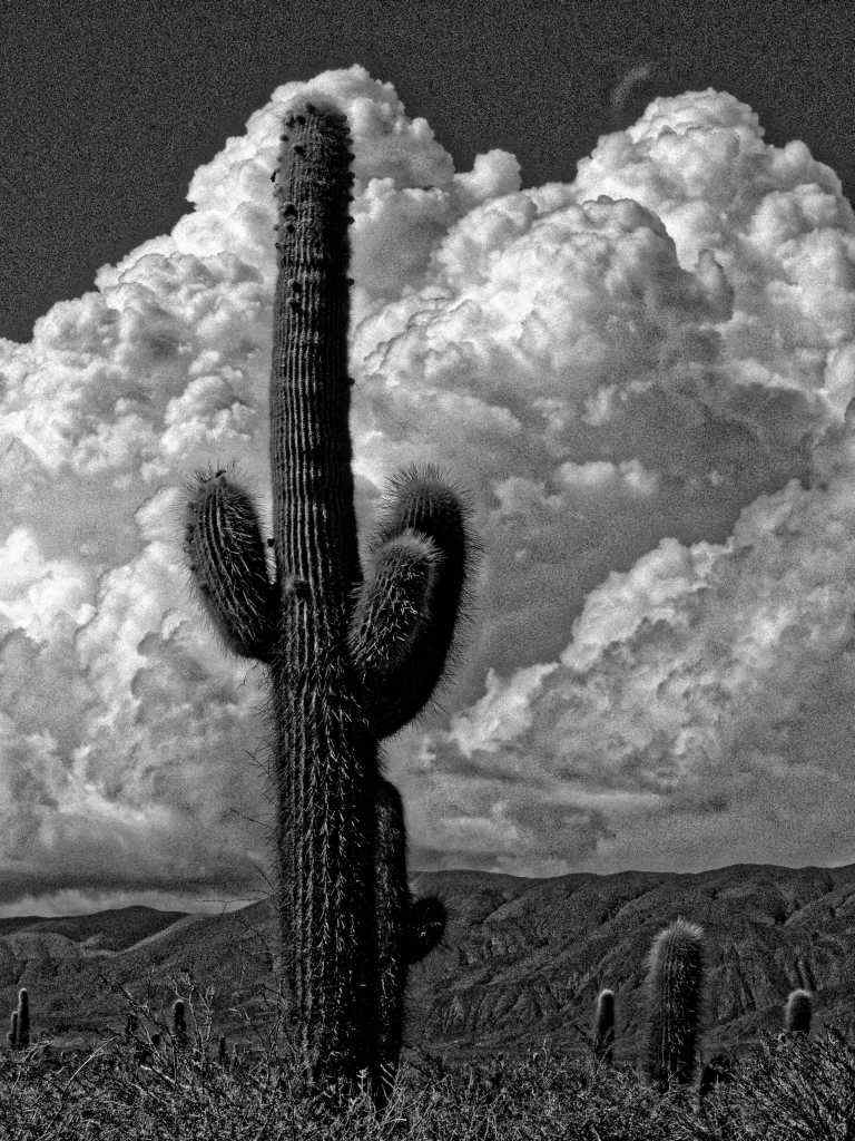 Photos de Gérald Ligonnet