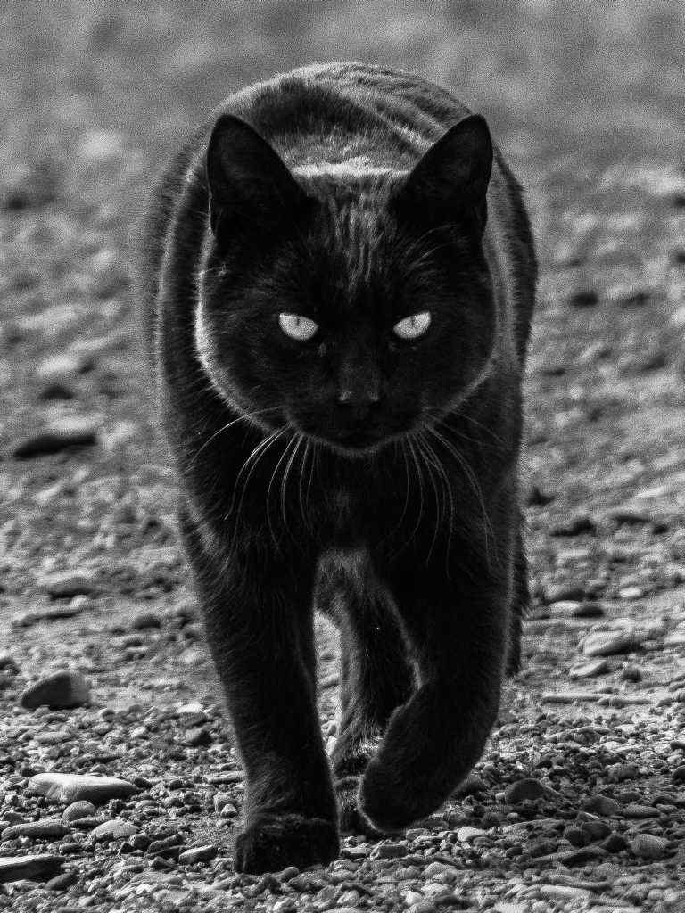 Photos de Gérald Ligonnet