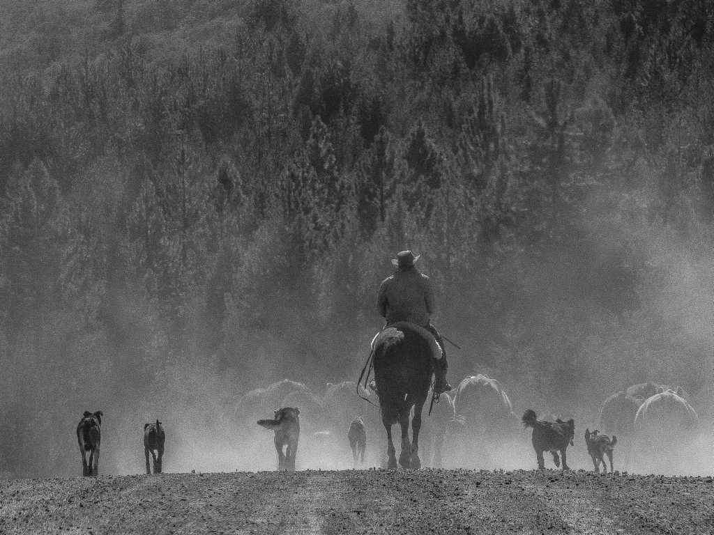 Photos de Gérald Ligonnet