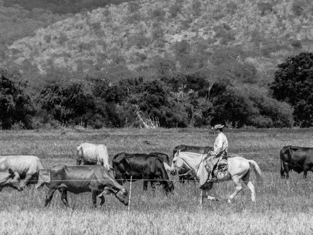 Photos de Gérald Ligonnet