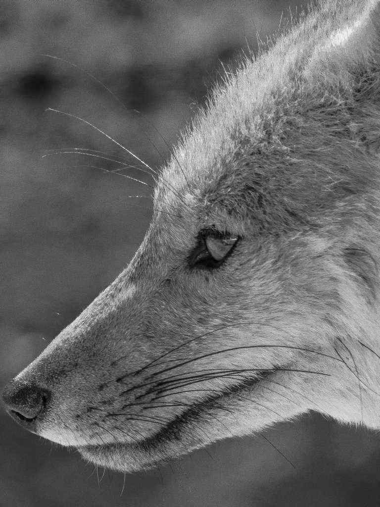 Photos de Gérald Ligonnet