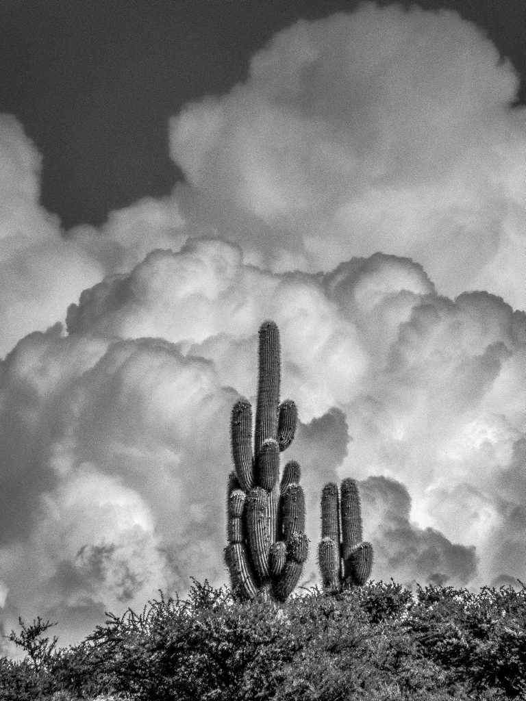 Photos de Gérald Ligonnet