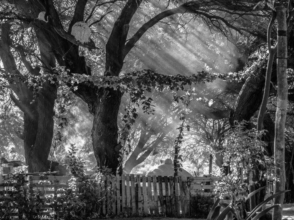 Photos de Gérald Ligonnet