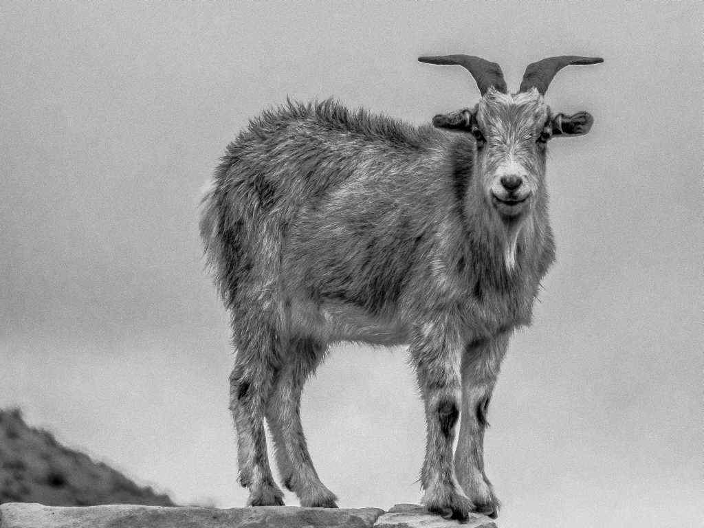 Photos de Gérald Ligonnet