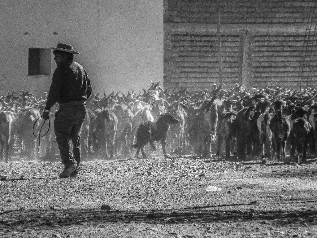 Photos de Gérald Ligonnet