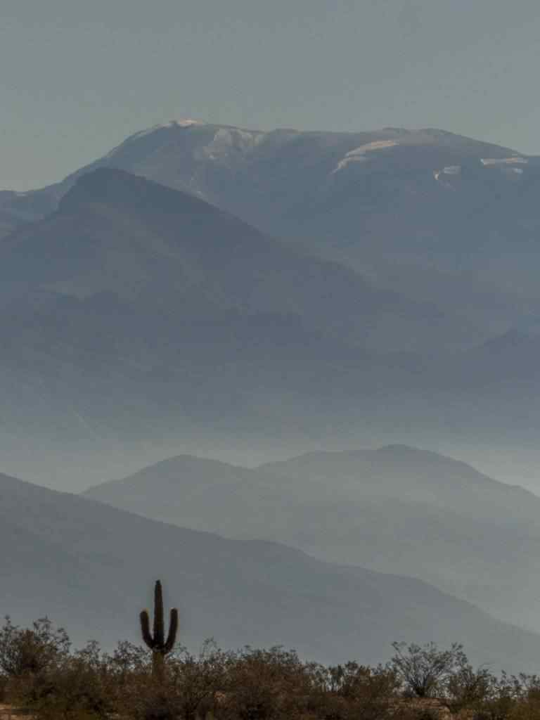 photo des Cactus en Argentine