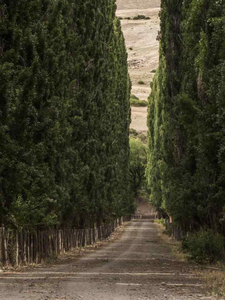 Photo de Gérald Ligonnet